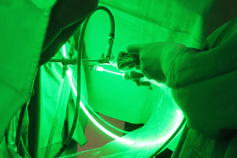 Dr Juan Antonio Ramírez Green Light